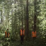 business environment monitoring overview