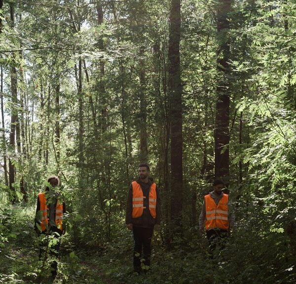 business environment monitoring summary