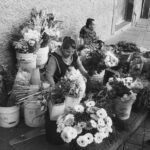 market operations overview snapshot