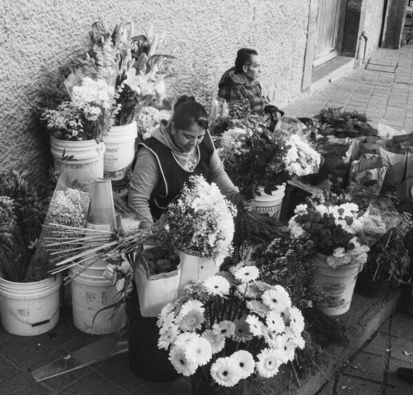 market operations overview snapshot