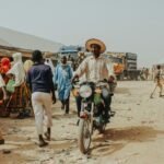 sector market activity overview